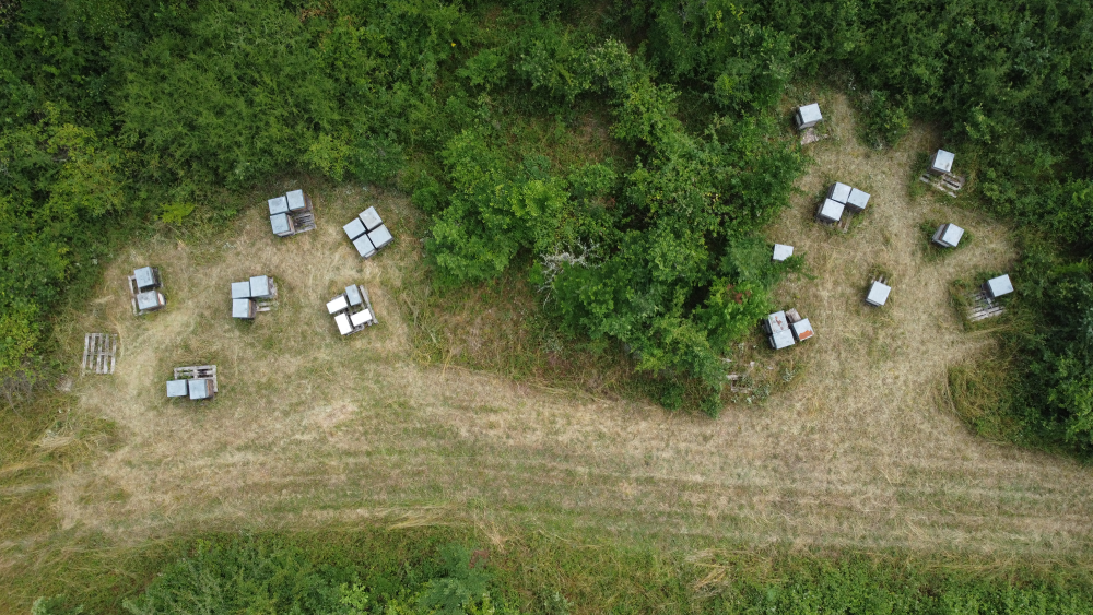 financement de ruches pédagogiques avec l’association Terre d’Abeilles. Vivalto Santé