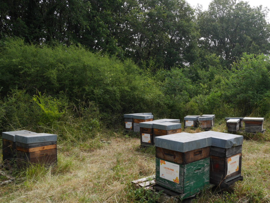 Zone d'implantation des ruches soutenues par Vivalto Santé