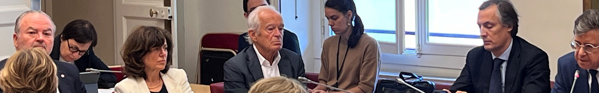 Financiarisation du système de santé : audition de Daniel Caille, Président de Vivalto Santé