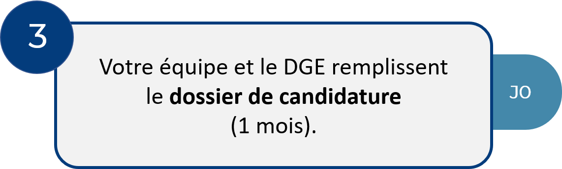 3. Votre équipe et le DGE remplissent le dossier de candidature (1 mois).